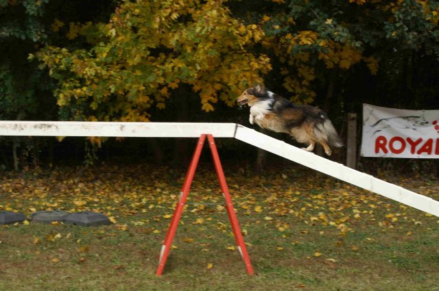 agility 2011-10-30